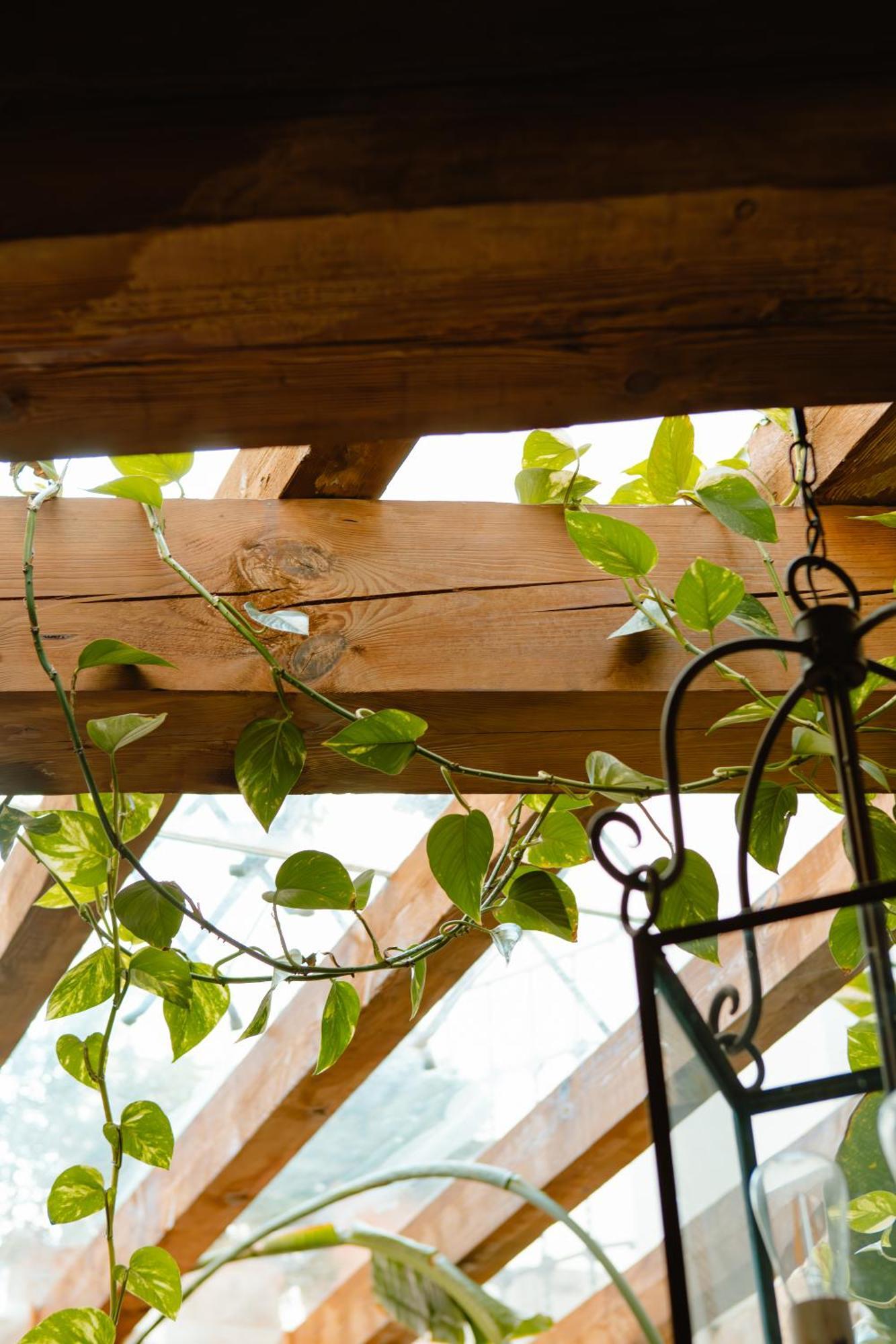 La Casona De Mahora Guest House Exterior photo